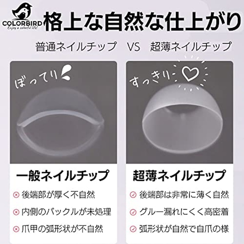 COLORBIRD ネイルチップ 4