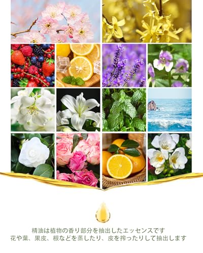 アロマオイル6種セット 2