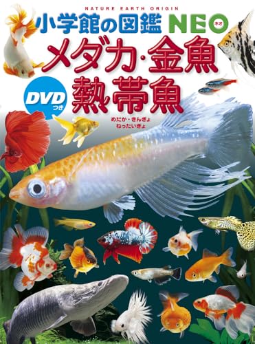 熱帯魚図鑑のおすすめ人気ランキング【2024年】 | マイベスト