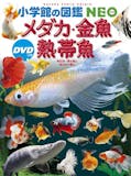 熱帯魚図鑑のおすすめ人気ランキング 2