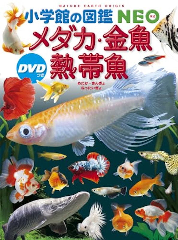 メダカ・金魚・熱帯魚 DVDつき 1