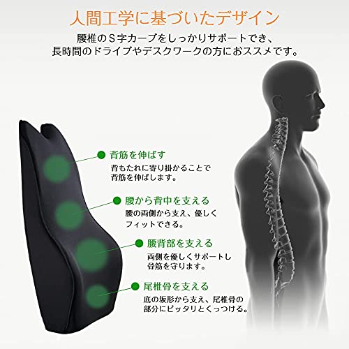 低反発ランバーサポート 3