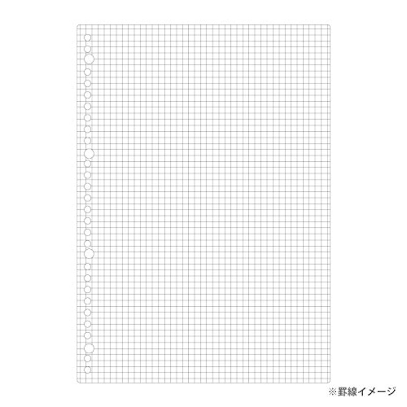 ルーズリーフ 3