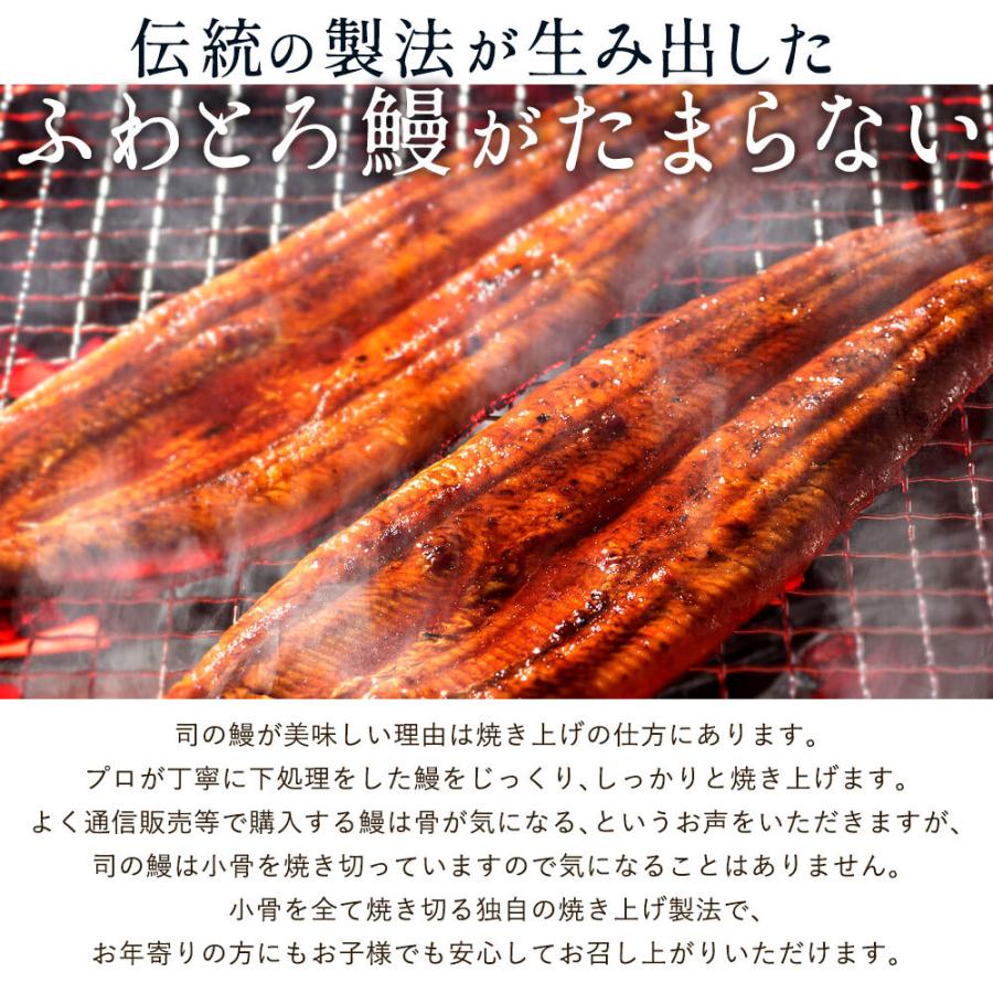 ギフト 高知県産 うなぎ 天の鰻 3