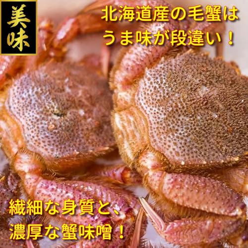 活毛蟹 3