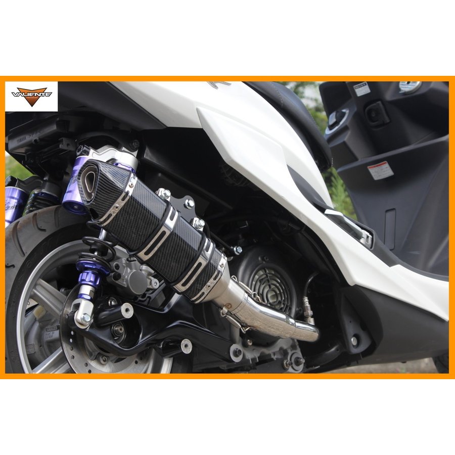 専用Realize スズキ GSR250 Aria カールTypeCマフラー luvias_509-so-003-01