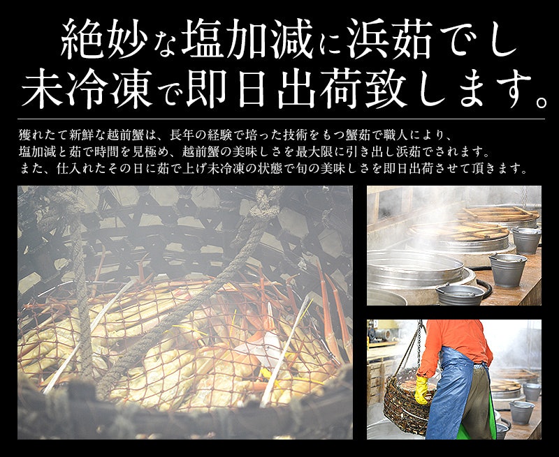 越前かに 4