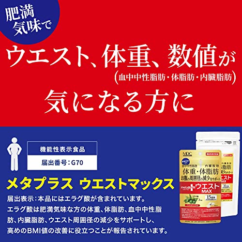 メタプラス ウエストマックス 2