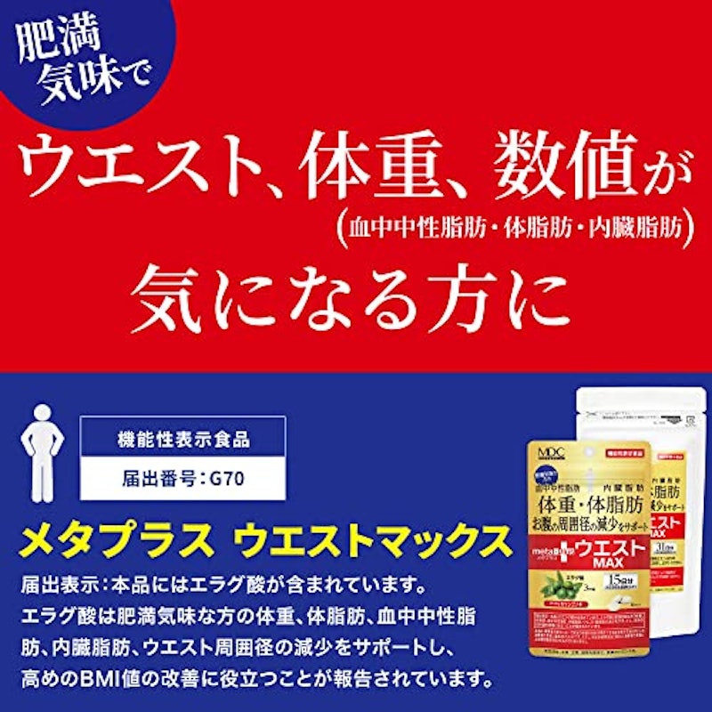 メタプラス ウエストマックス 2