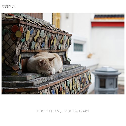 E 50mm F1.8 OSS 5
