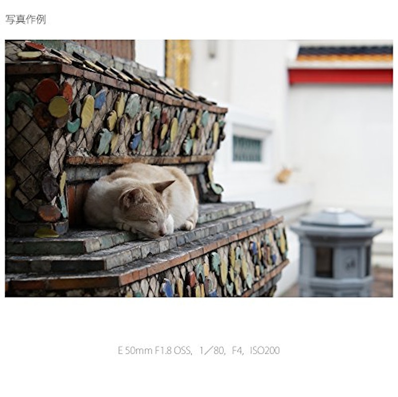 E 50mm F1.8 OSS 5
