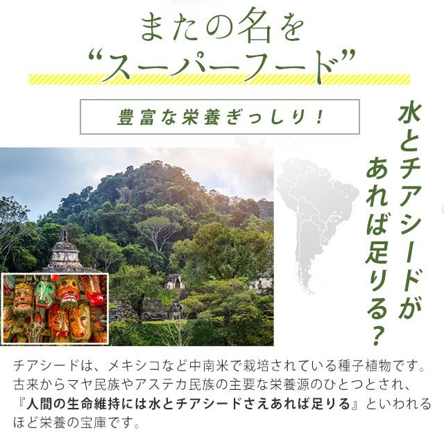 ホワイトチアシード 3