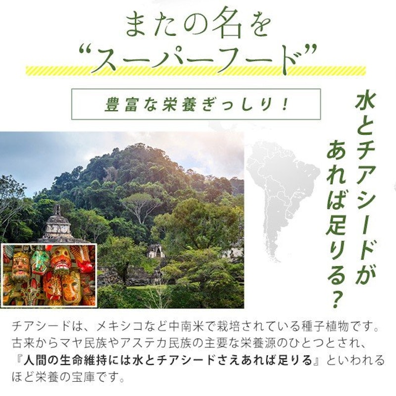 ホワイトチアシード 3