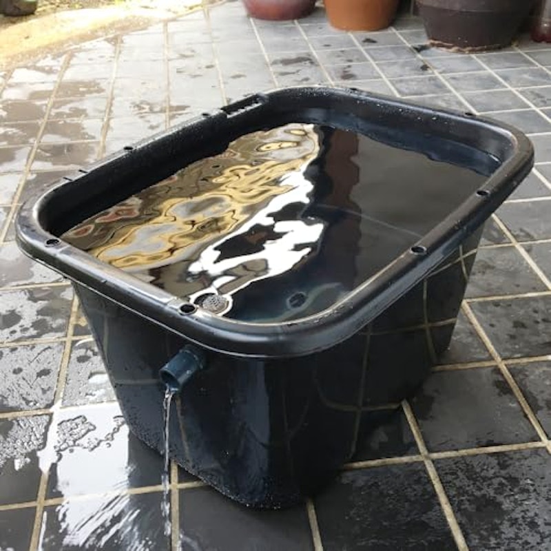 メダカ飼育容器 3