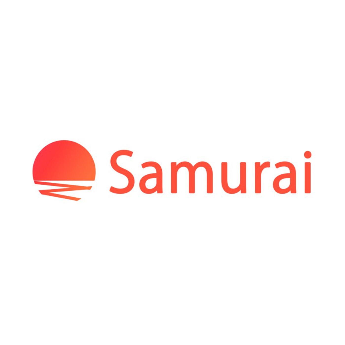 SAMURAI ENGINEER 1