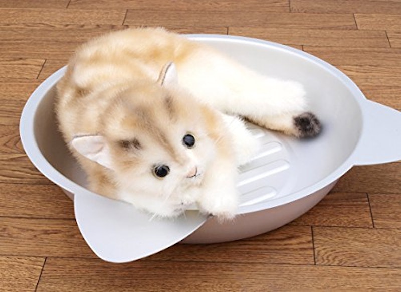 たらい de クールキャット 3