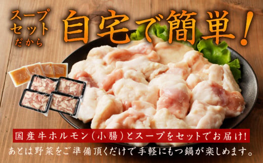 牛もつ鍋セット 約12人前 2