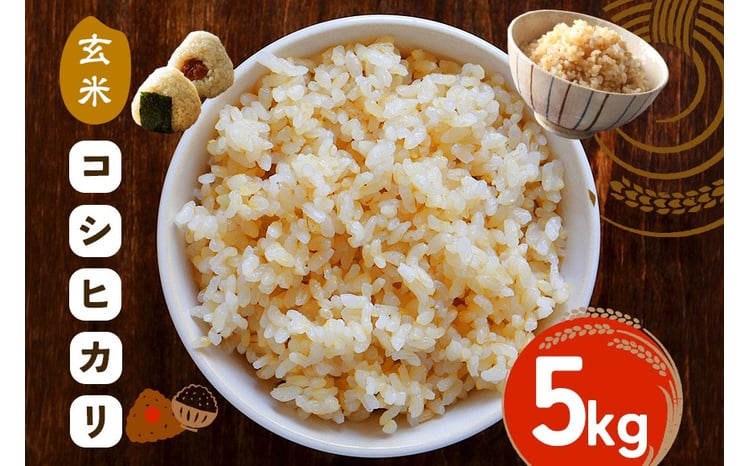 笠間産 コシヒカリ 玄米 1
