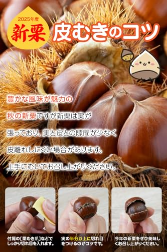 天津甘栗 3