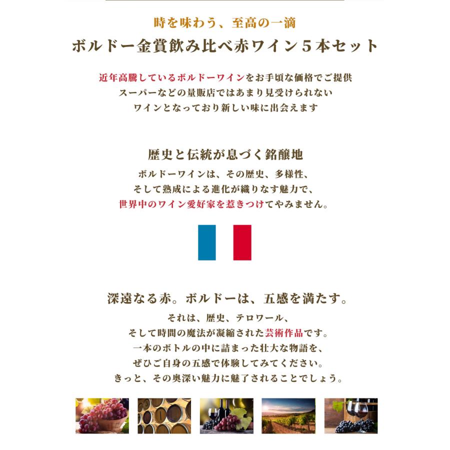 ボルドー 金賞受賞赤ワイン 飲み比べ5本セット 2
