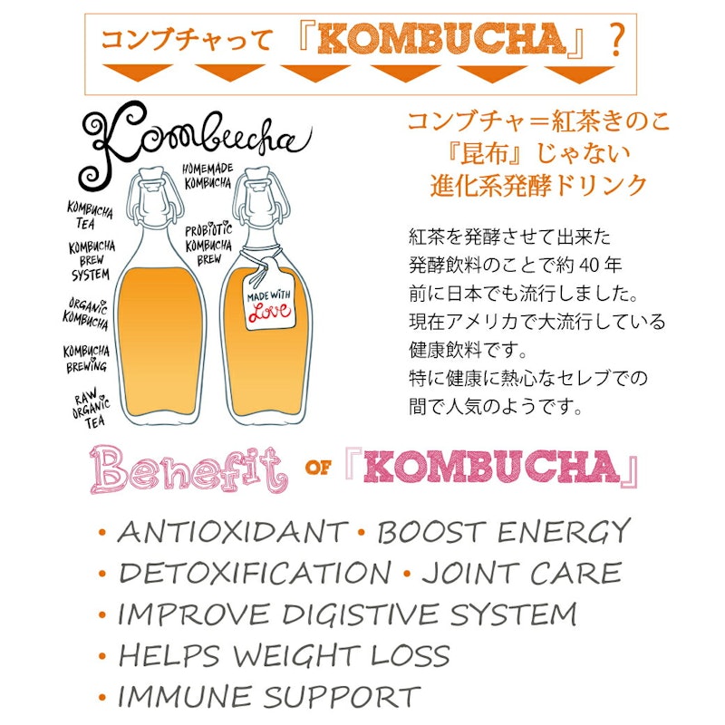 コンブチャエンザイムパウダー 2