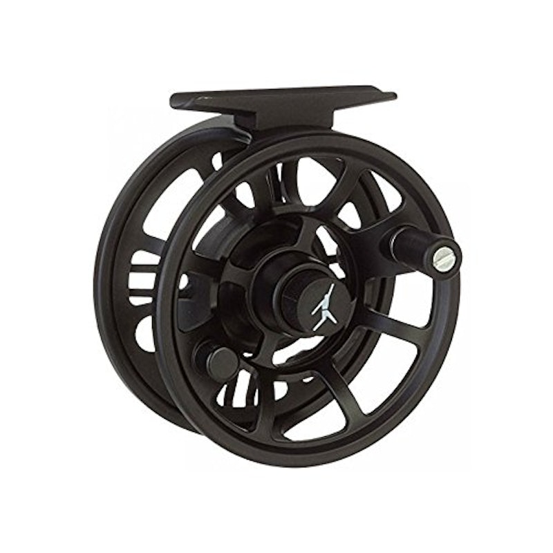 ION Reels 1