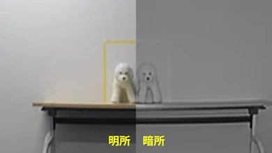 画質は様子が分かる程度。鮮明さはやや欠ける