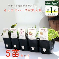 22年 ハーブ初心者向け苗のおすすめ人気ランキング19選 Mybest 22年 ハーブ初心者向け苗のおすすめ人気ランキング19選 Mybest