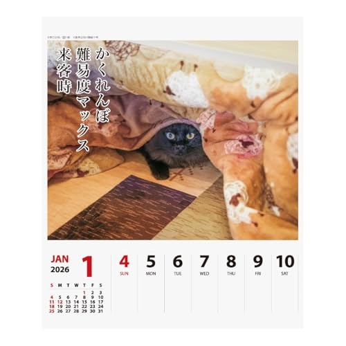 2026年カレンダー 猫川柳 2