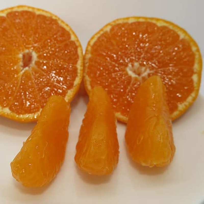愛媛みかん 大玉みかん・訳あり 3