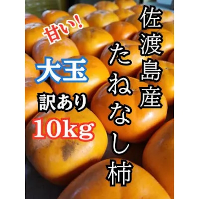 大玉たねなし柿 1