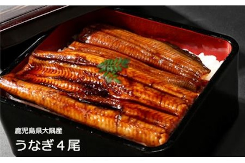 鹿児島県大隅産 うなぎ蒲焼 1