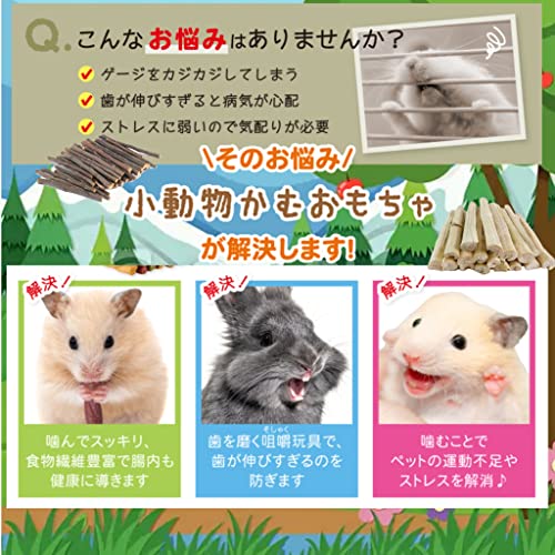かじり木のおすすめ人気ランキング【ハムスター・うさぎ・デグーにも