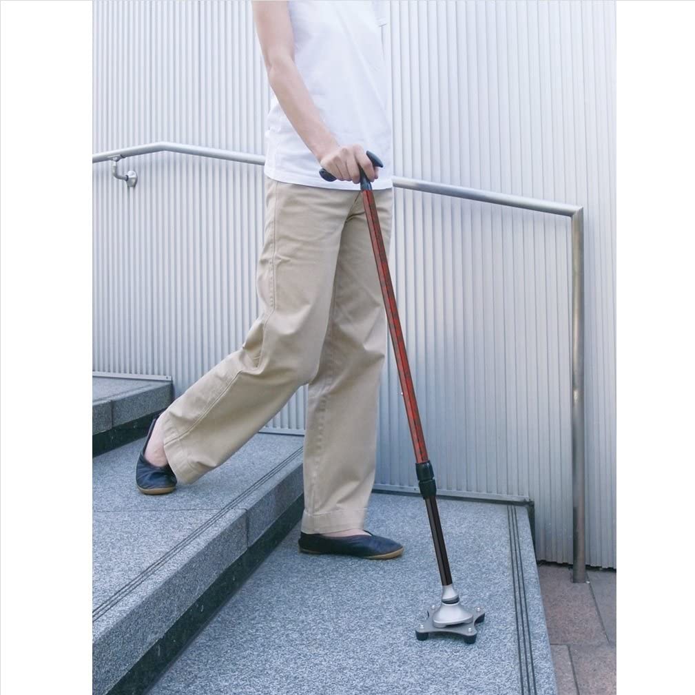 かるがも4ポイントステッキ 2