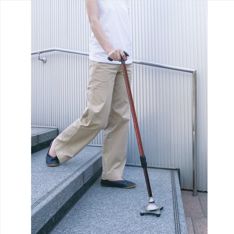 かるがも4ポイントステッキ 2