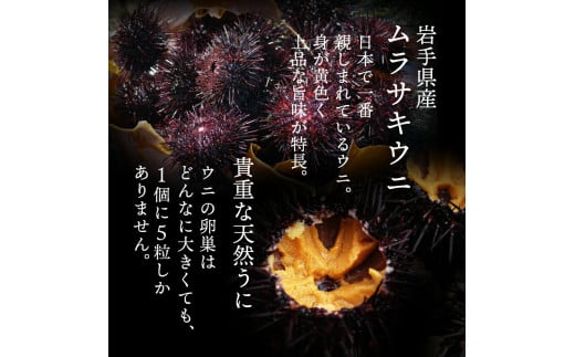 生ウニ  4