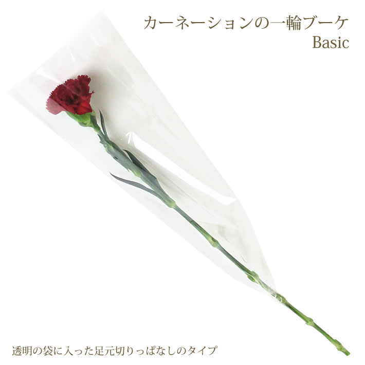 生花のおすすめ人気ランキング【2026年6月】 1