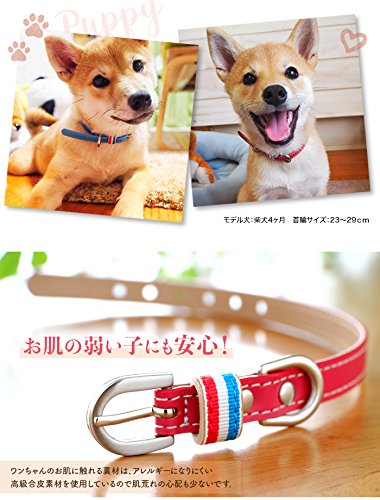 超小型犬・小型犬専用首輪 3