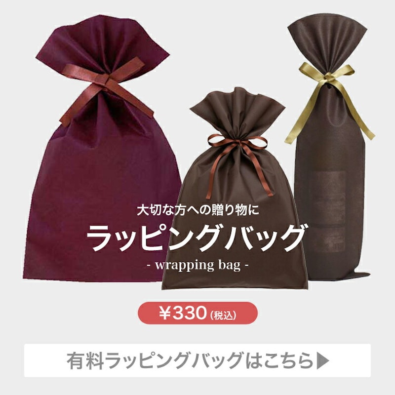 ファイテン PLストレートアイロン 2