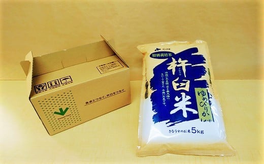 定期便 北海道産ゆめぴりか 2
