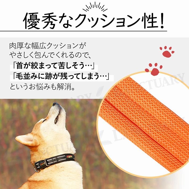 ペット首輪 6