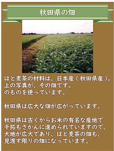 はと麦茶 6