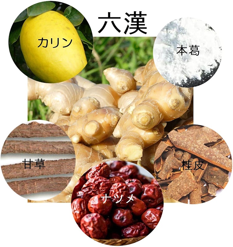 蒸し生姜湯 六漢生姜湯 2