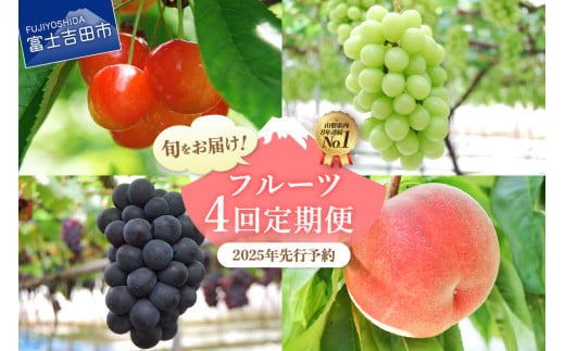 4回お届けフルーツ定期便 1
