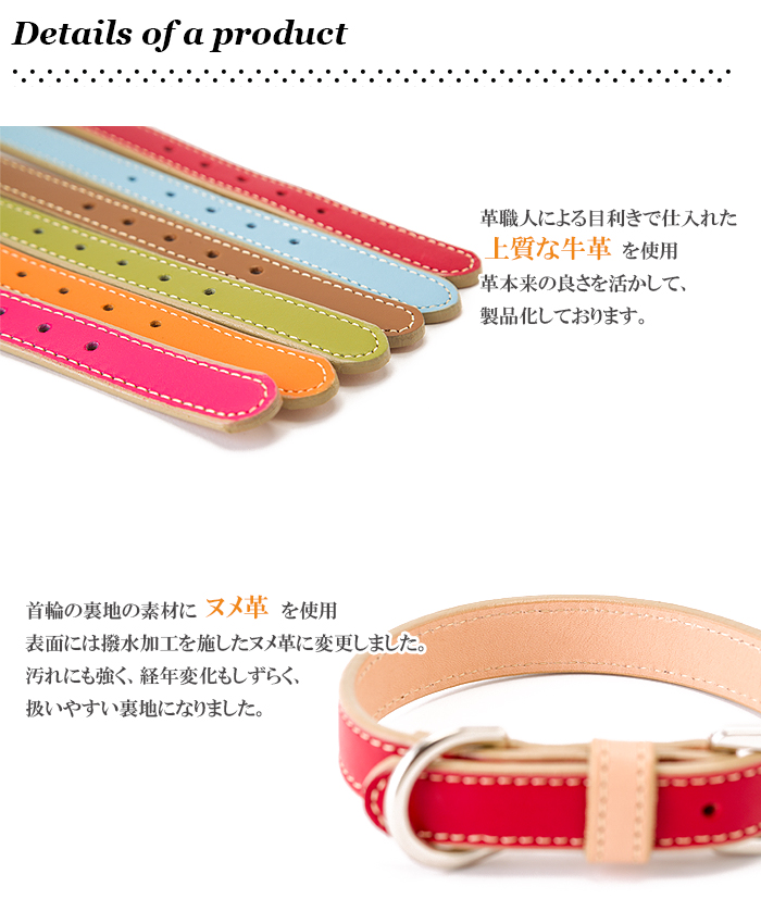 シンプルベーシック首輪 6
