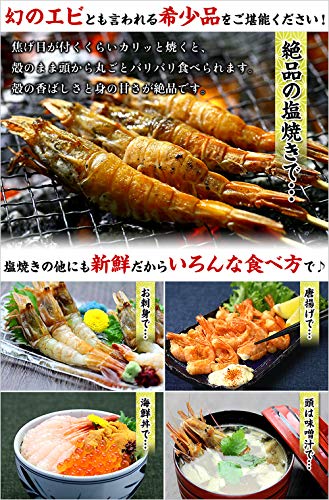 越前がらえび 4