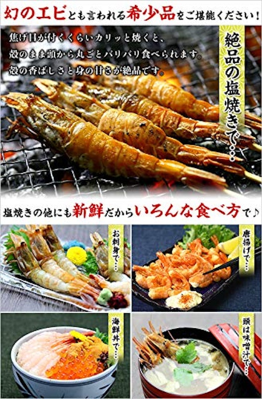 越前がらえび 4