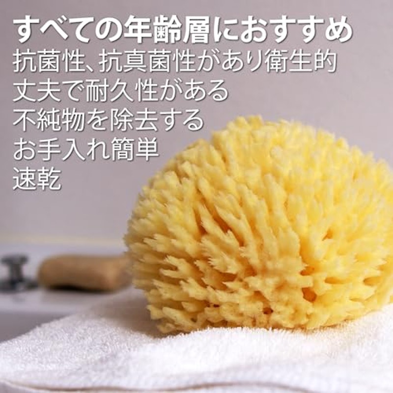 天然海綿スポンジ 6