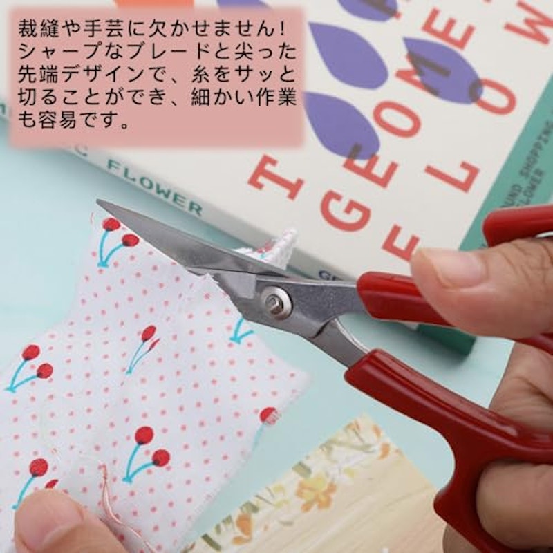 ハサミ 4