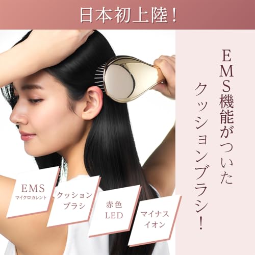 EMS Brush Air クッションブラシ 3